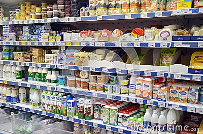 Dairy products in the store