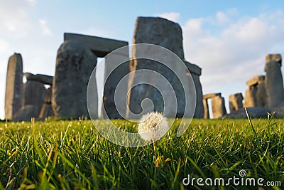 Dandelion at Stonehenge