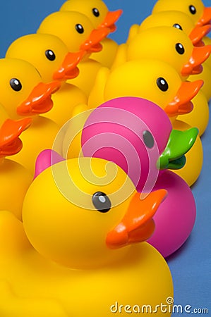 Dare to be different - rubber ducks on blue