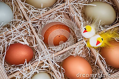 Decorative Easter chickens with eggs in crate