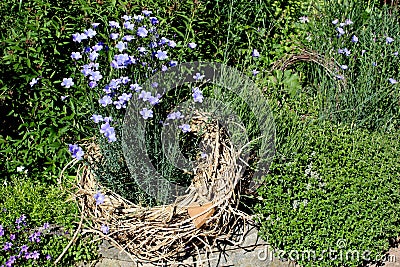 Decorative herbs and flowers