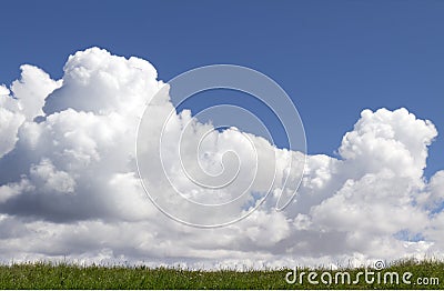 Deep Blue Sky White Puffy Clouds over Green Grass