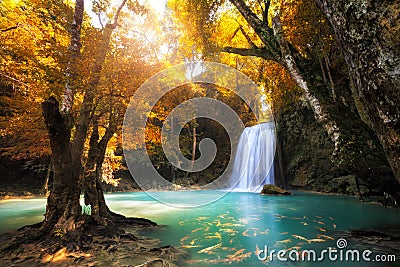 Deep forest Waterfall