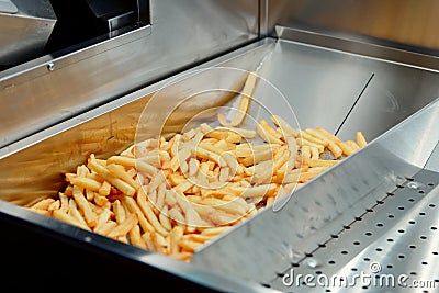 Deep fryer with french fries