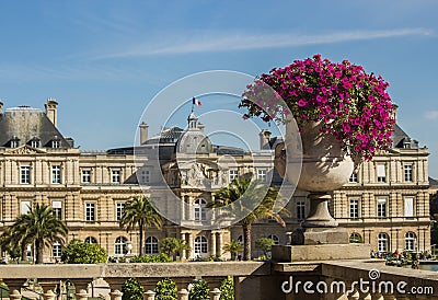 Deep pink petunias in stone urn in Jardin de Luxembourg, Paris, France