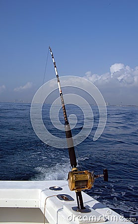 Deep sea fishing rod and reel