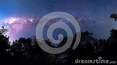 180degree Milky Way cross over forrest, national park THAIALND