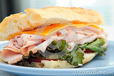 Deli sliced turkey sandwich