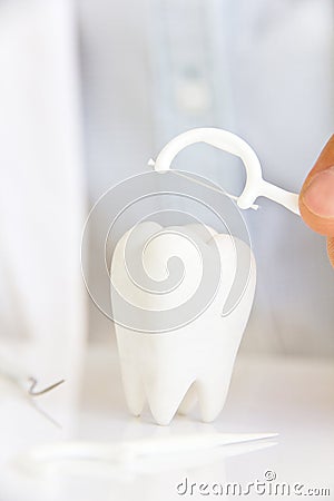 Dentist holding dental floss with molar