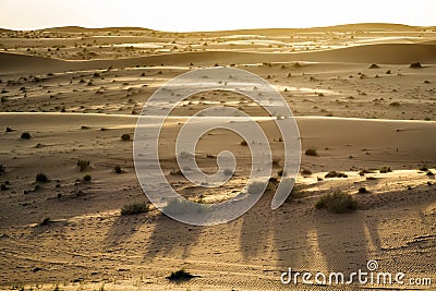 Desert evening mood Oman
