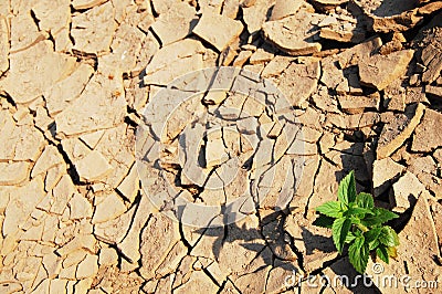 Desert of Grand Canyon of Siam with Mekong river is name Sam Phan Bok Three thousand holes at Ubon Ratchathani Thailand