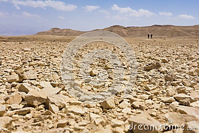 Desert ground stones.