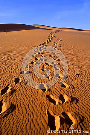 Desert landscape of gobi desert with footprint in the sand, Mongolia