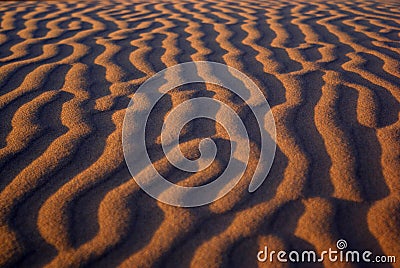 Desert landscape, Gobi desert, Mongolia