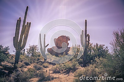 Desert landscape saguaro cactus and boulders