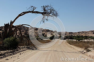 Desert Road to Oasis