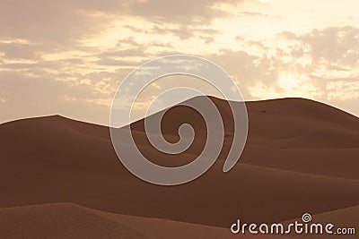 Desert Sand Dubai - United Arab Emirates - Middle East