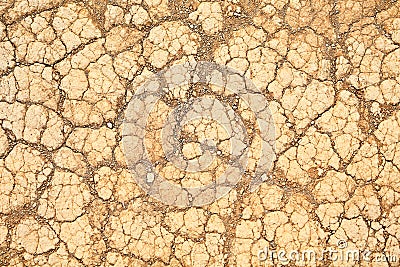 Desert sand texture background