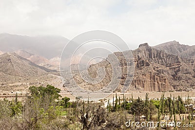 Desert Scene