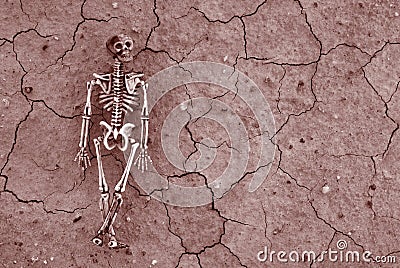 Desert Skeleton background