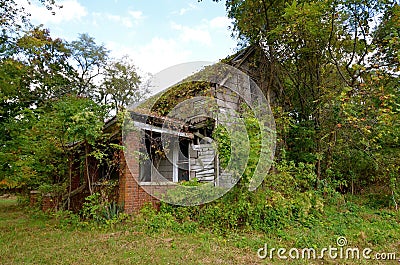 Deserted House Hidden in the Bushes