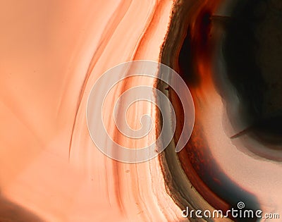 Detail of mineral agate background