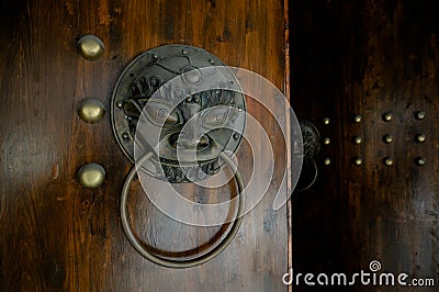 Details of lion-shaped door knocker