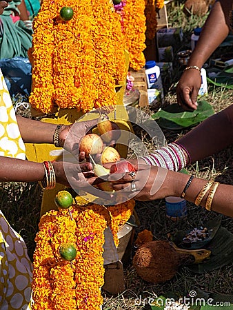 Devotees decorating a Kavady at a Hindu festival