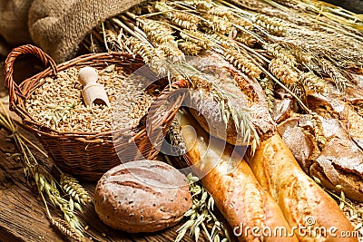Different kinds of grain and freshly baked bakery products