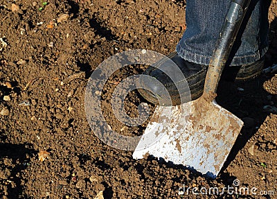 Digging with a spade.