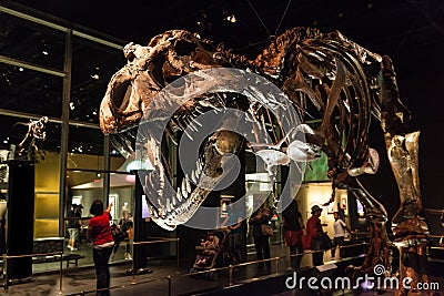 Dinosaur Exhibits at Royal Tyrrell Museum in Drumheller, Canada