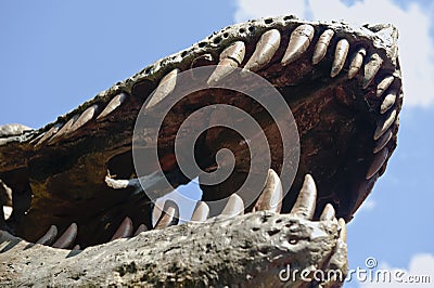 Dinosaur Teeth and Jaw