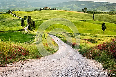 Dirt road and green field in Tuscany