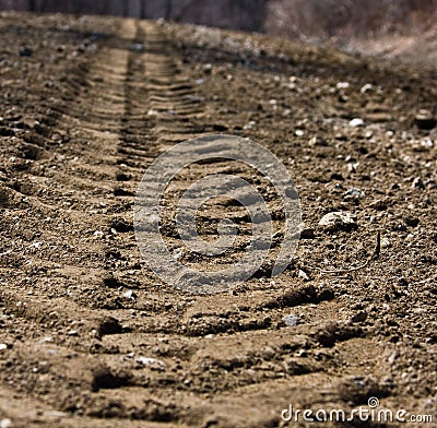 Dirt Tracks