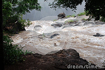 Dirty stream river Zambezi(Africa)