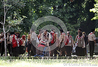 Disabilities scouts