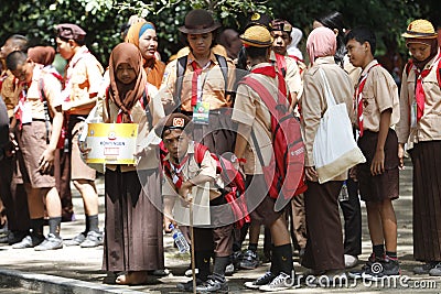 Disabilities scouts