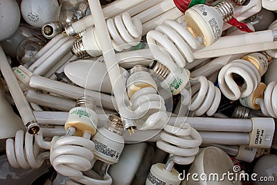 Discarded Light Bulbs Fill Box At Recycling Event