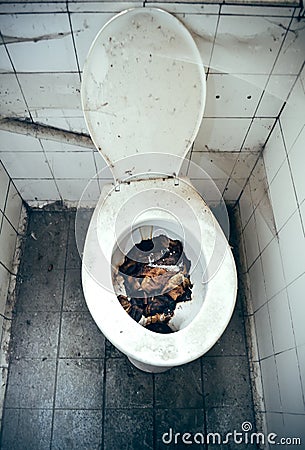 Disgusting toilet