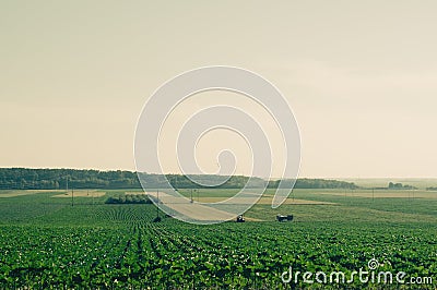 Distant fields with tractors in retro film camera filter.