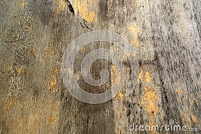 Distressed wood background