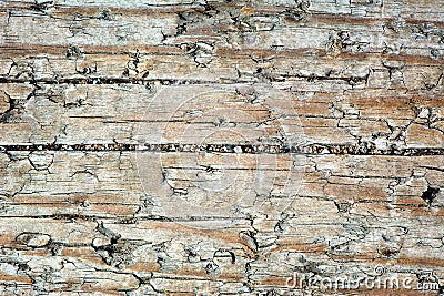 Distressed Wood 1