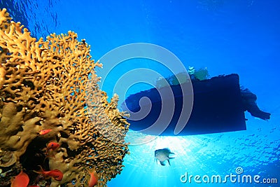 Dive Boat and Coral Reef