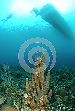 Dive boat over coral reef