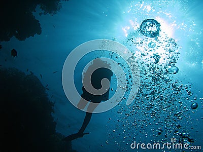 Diver 02