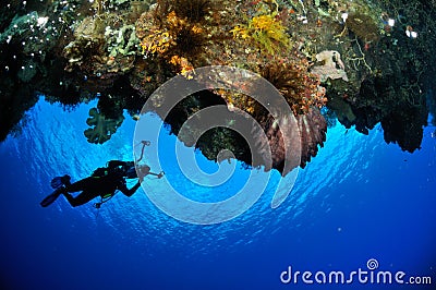 Diver, barrel sponge Xestospongia sp. in Banda, Indonesia underwater photo