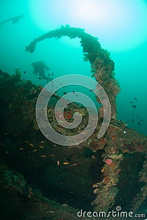 Diver, boat wreck in Ambon, Maluku, Indonesia underwater photo