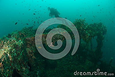 Diver, boat wreck in Ambon, Maluku, Indonesia underwater photo