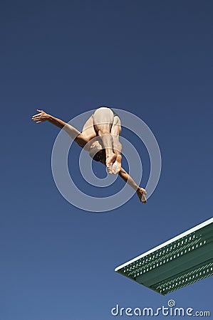 Diver Diving From Spring Board