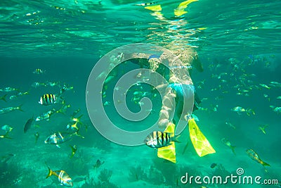 Diving in the Caribbean Sea